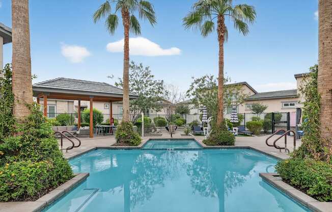 A swimming pool surrounded by palm trees and bushes.