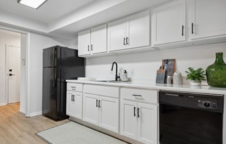 ReNew Virginia Beach