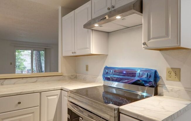 Newly updated 2 Bedroom Bellevue Condo is Available!