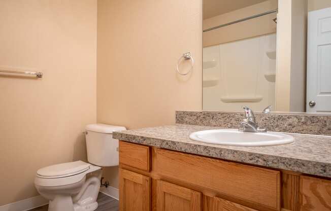 a bathroom with a sink toilet and mirror