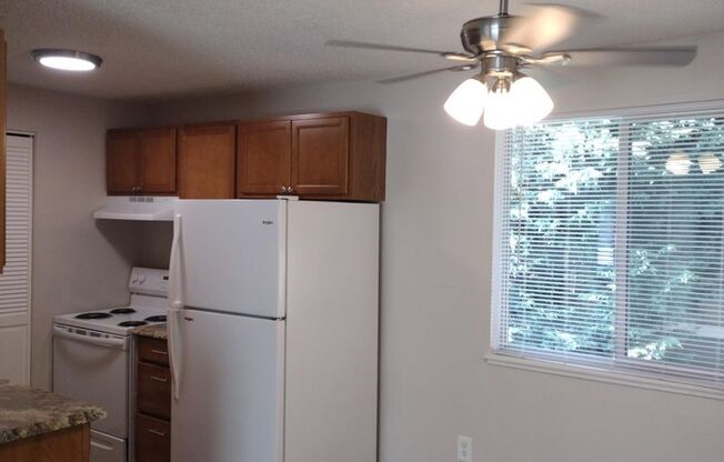 Chelan Apartments