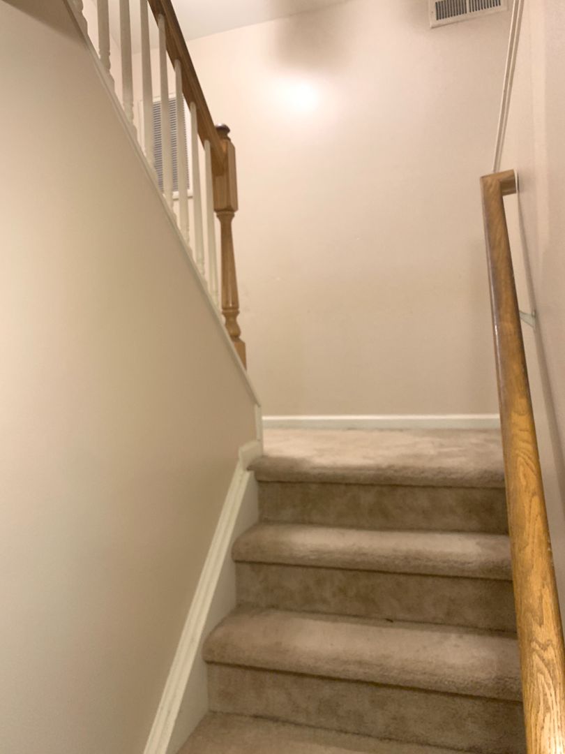 4 bedroom single-family house near Cameron Village