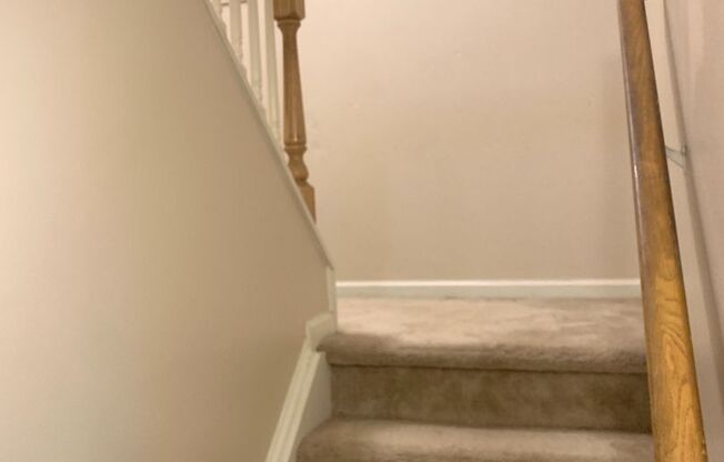 4 bedroom single-family house near Cameron Village