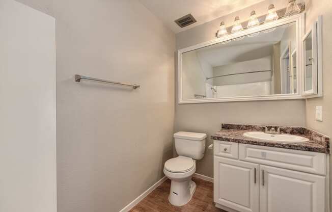 Large Master Bathroom with ample lighting and mirror