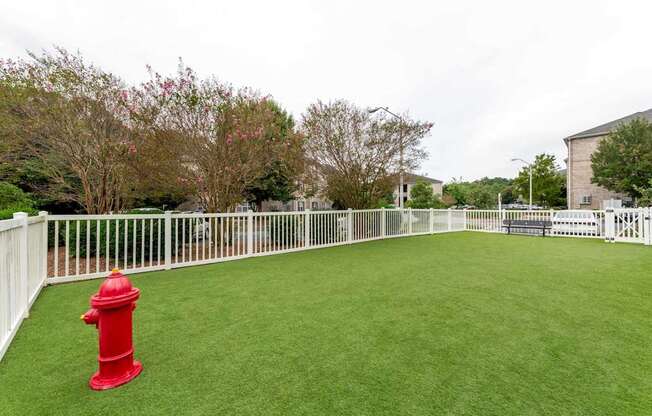 A red fire hydrant sits on a green lawn.