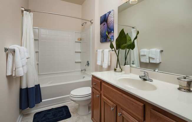 Bathroom Accessories at Abberly Pointe Apartment Homes, South Carolina, 29935