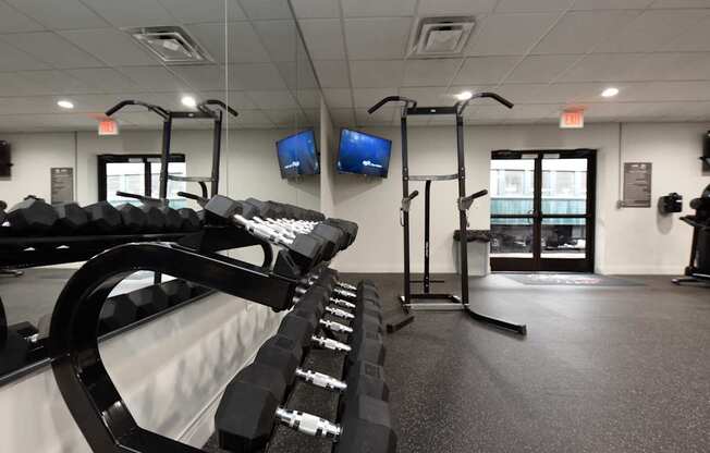 A gym with a row of dumbbells and two treadmills.