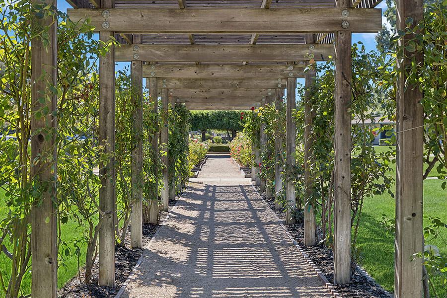 The Grove at Walnut Creek