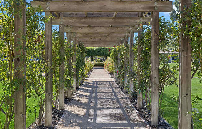 Walkway with a pergola with trees on both sides at Walnut Creek Manor Apartments in Walnut Creek, CA