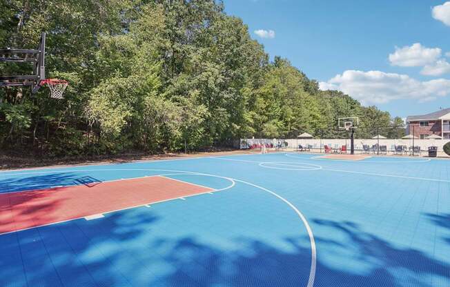 A basketball court with a blue surface and red boundary lines.