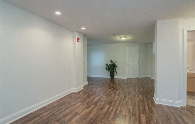 2 beds, 1 bath, 802 sqft, $2,650, Unit 3409