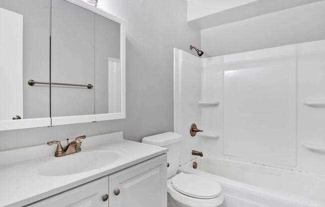 bathroom with vanity, toilet and tub