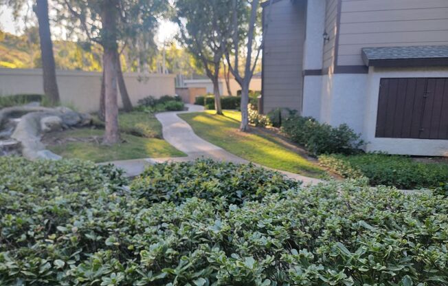 1 bed, 1 bath, $2,400, Unit # 349