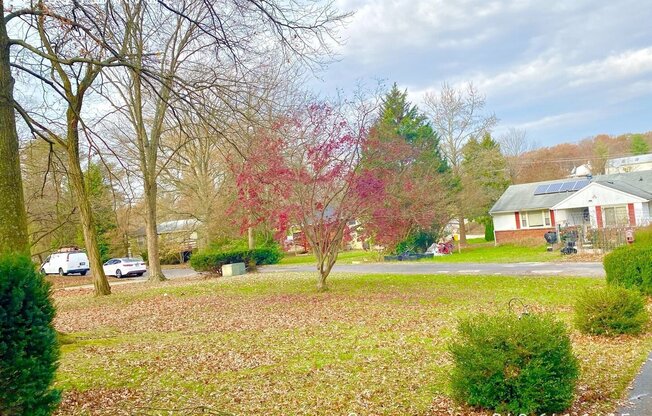 7705 PEAR AVE