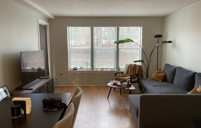 1 bed, 1 bath, 600 sqft, $1,950, Unit 12