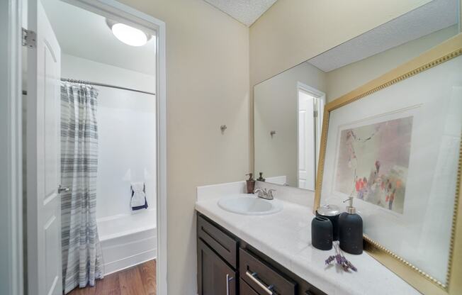 a bathroom with a sink and a shower and a mirror