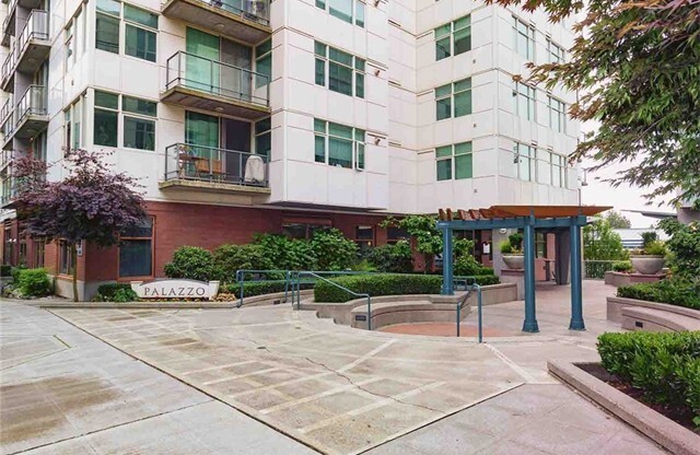 Charming Studio in Downtown Bellevue