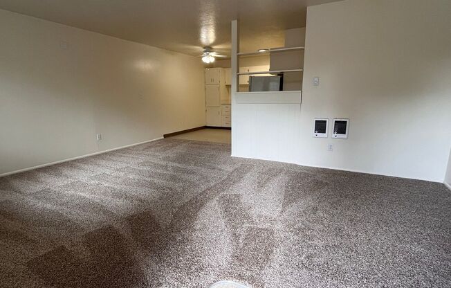 CLOSE-IN SE ::: Next to Park, Spacious, Pool & Great Location!!