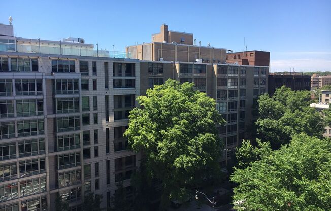 Studio, 1 bath, 440 sqft, $2,887, Unit 0631