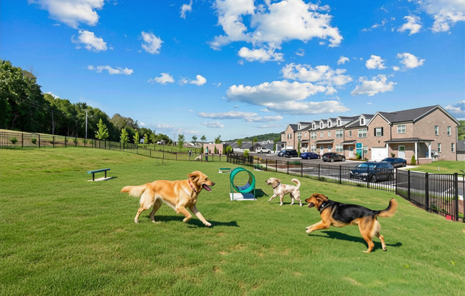 Blakeney Commons Townhomes