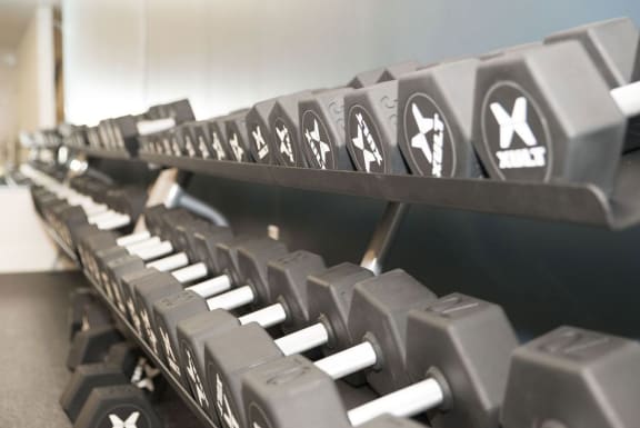 Dumbbells at The Whit Apartments, Indiana, 46204