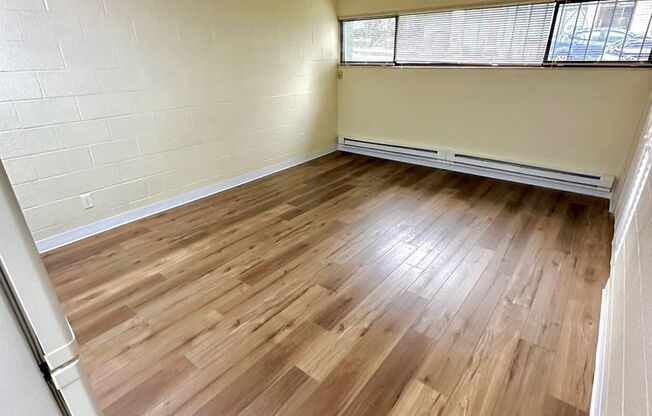 Studio, 1 bath, 302 sqft, $1,100, Unit 109