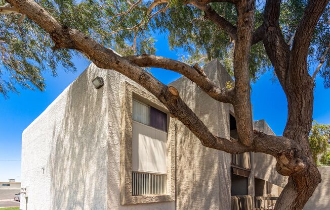 2 beds, 2 baths, 950 sqft, $1,300, Unit 214