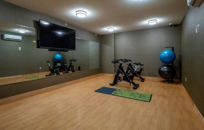 Gallery Flats Indoor Gym