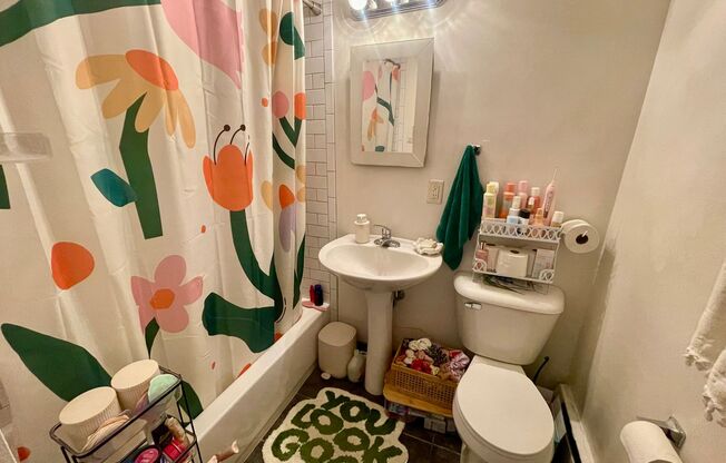 Studio, 1 bath, $750, Unit 201