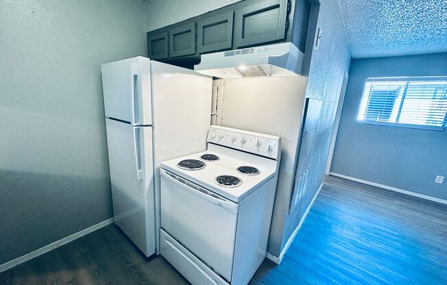Studio, 1 bath, 500 sqft, $795, Unit 103