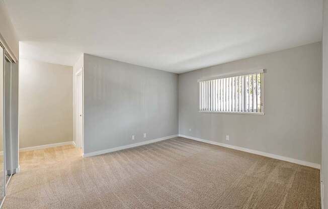 A room with a carpeted floor and a window with blinds.