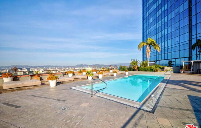 Studio, 1 bath, 790 sqft, $2,500, Unit 2212
