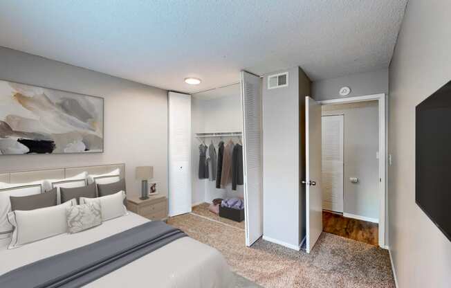 a bedroom with a bed and a closet