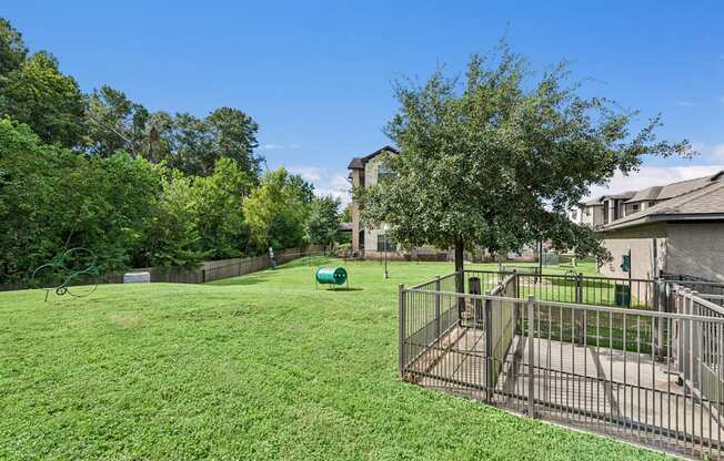 A green lawn with a fence and a tree in the foreground.