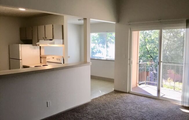 1 bed, 1 bath, 788 sqft, $1,400, Unit 404