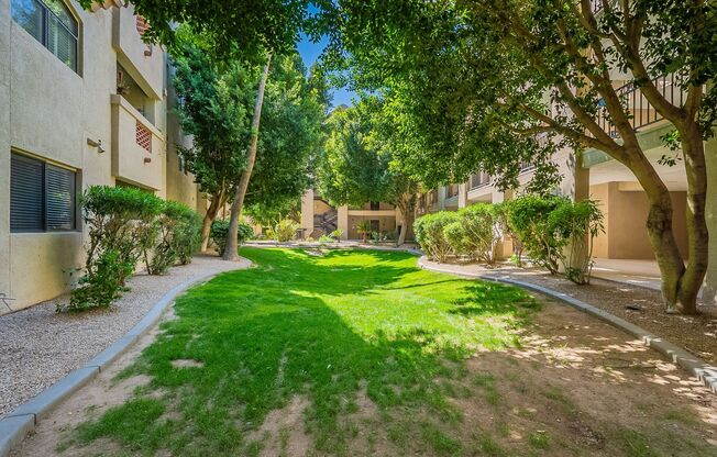 1 bed, 1 bath, $1,600, Unit #337