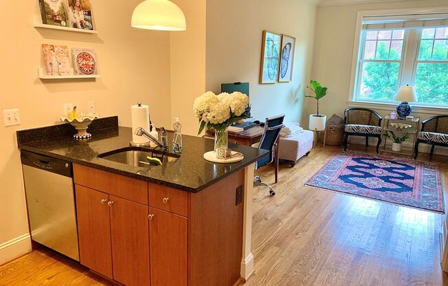 1 bed, 1 bath, 500 sqft, $2,450, Unit 302