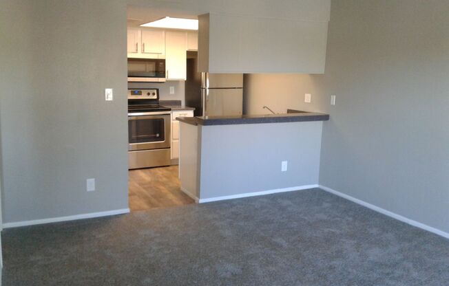 1 bed, 1 bath, 565 sqft, $1,175, Unit 231