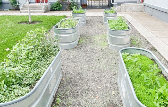 1 bed, 1 bath, 690 sqft, $1,300, Unit Cap5