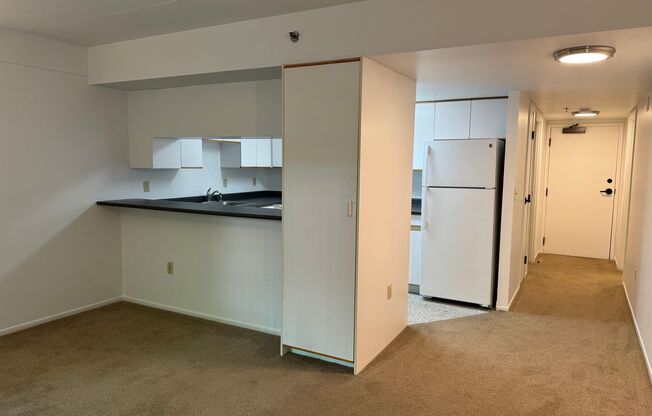 1 bed, 1 bath, 491 sqft, $1,250, Unit 203
