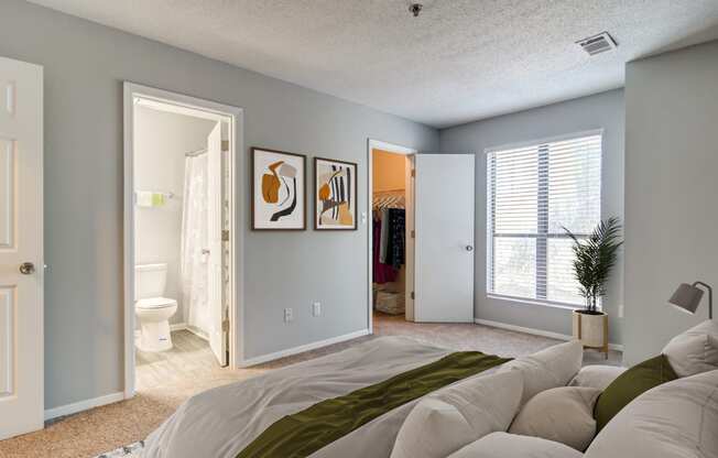 a living room with a couch and a bed and a bathroom