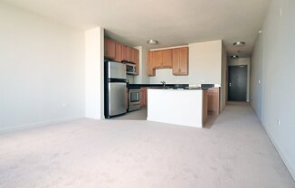559 W KINZIE ST
