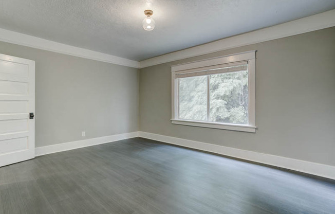St. Johns: Gorgeous Renovated Studio Ready Late-May!