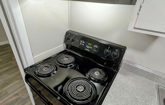 Premier Club Apartments 15 Minutes to Everything South Atlanta & Airport