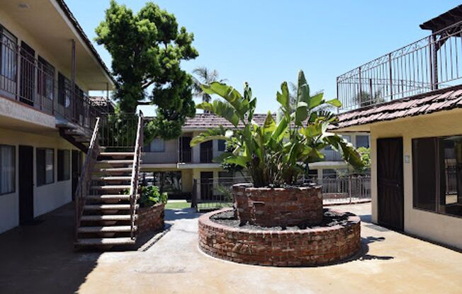 Club Pacifica (club101)