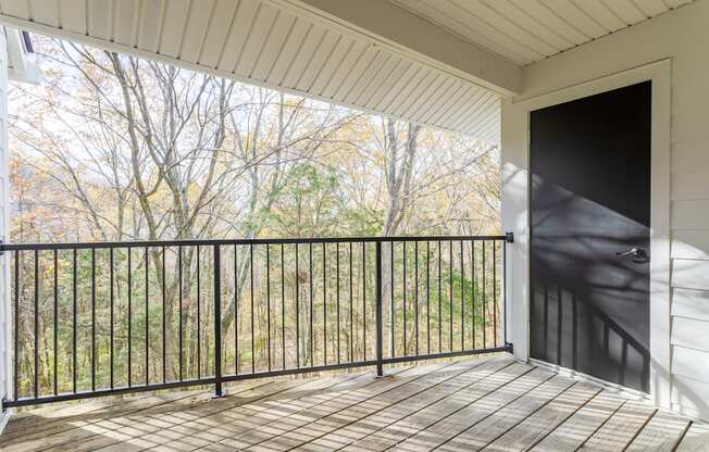 A balcony with a black railing and a wooden floor.