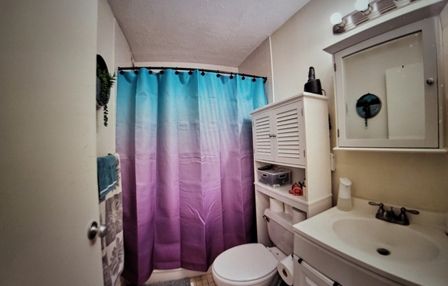 Studio, 1 bath, 500 sqft, $2,450, Unit 910