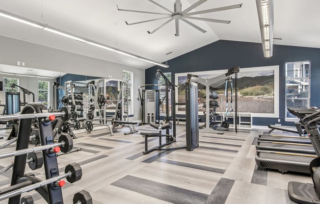 A gym with a variety of equipment including treadmills, weights, and a bench press.