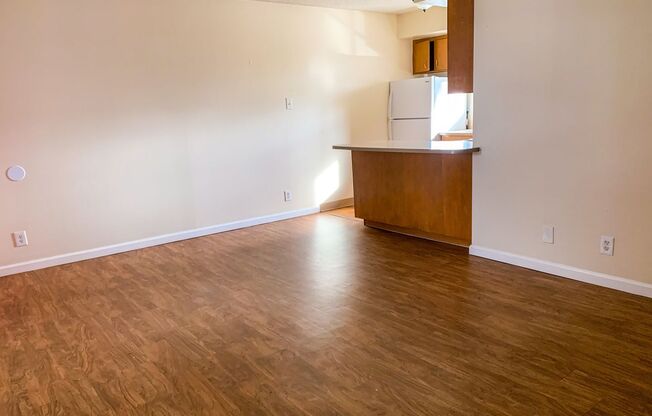 Studio, 1 bath, 450 sqft, $799, Unit 217