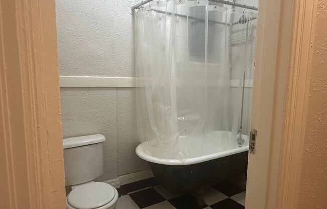 1 bed, 1 bath, 450 sqft, $1,050, Unit 206